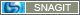 SnagIt Screen Capture